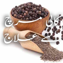 Kali Mirch se Illaj APK