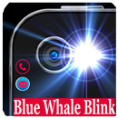 Blue Whale killer Blink aplikacja