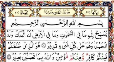 برنامه‌نما Surah Taghabun (Loss And Gain) عکس از صفحه