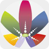 The Bounce Salon APK