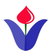 NedApp
