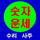 آیکون‌ 수리사주 운명주기