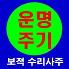 운명주기 운세감정법 icon