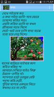 সেরা ১০টি কবিতা Affiche