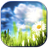 Daises APK