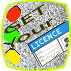 Driving License icône