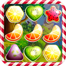 Fruit Garden Dash Mania APK