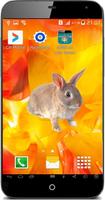 Bunny Rabbit Prank capture d'écran 2