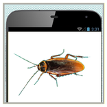 صراصر على هاتفك -Prank