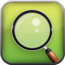 Pocket Magnifier with LED APK