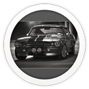 Mustang Shelby XPERIA™ theme APK