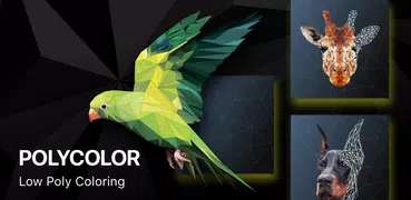 PolyColor Colorir por Polígono - Jogos de colorir