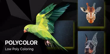 PolyColor - ポリゴン塗り絵