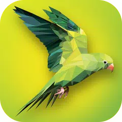 PolyColor - Color by Number Poly Art Coloring Game APK 下載