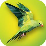 PolyColor Colorear por Polygon Dibujos de colorear APK