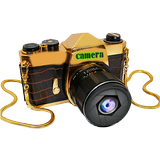 Micro Zoom Camera icon