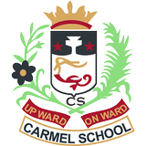 CARMEL SCHOOL ícone