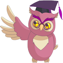 expressions écrites régional APK