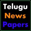 Telugu News Papers 2017