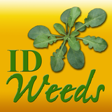 ID Weeds icône