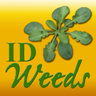 Icona ID Weeds