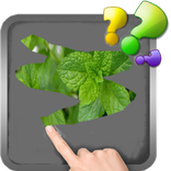 اكشط واحزر الصورة