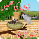 Bachon Ki Urdu Nazmain – Bulbul Ka Bacha Urdu Poem APK