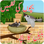 Bachon Ki Urdu Nazmain – Bulbul Ka Bacha Urdu Poem icône