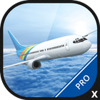 Plane Flight Simulator Game 3D-icoon