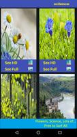 Photo Wallpapers Live تصوير الشاشة 3