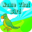 Name That Bird APK