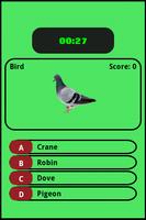 Guess That Bird screenshot 1