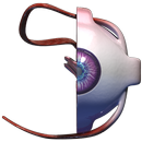 APK VR Human Eye