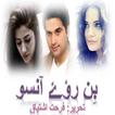 Bin Roye Ansoo urdu novel