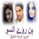 Bin Roye Ansoo urdu novel APK