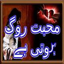 Mohabbat Rog hoti Hai Novel APK