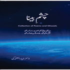 Chashm-e-Beena Urdu Poetry ícone