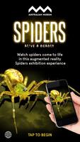 Spiders Augmented Reality poster