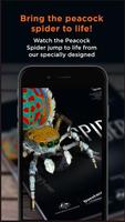 Poster SPIDERS AR
