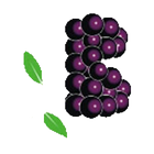 Berrybundle Connect icon
