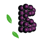 Berrybundle Buggy icon