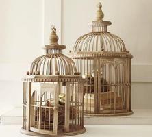 Bird Cage Design Ideas capture d'écran 1