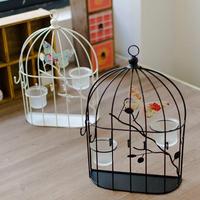 Bird Cage Design Ideas 截图 2