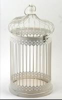 Bird Cage Design Ideas screenshot 3