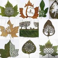 DIY Craft Leaf Ideas Affiche