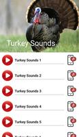 Turkey Sounds الملصق