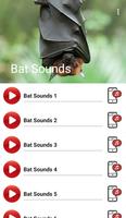 Poster Bat Sounds