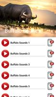 Buffalo Sounds capture d'écran 1
