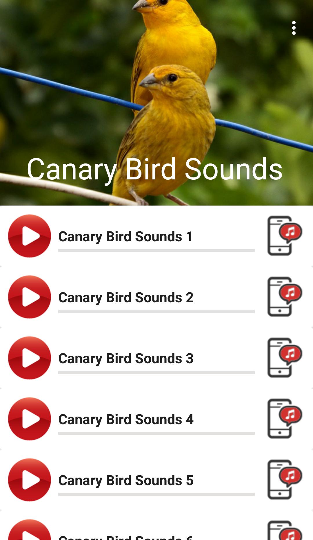 Android canary Android canary