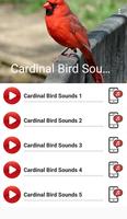 Cardinal Bird Sounds capture d'écran 1